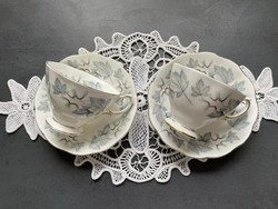 Wonderful royal albert silver maple English bone china tea cup sets
