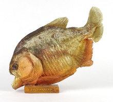 1M993 Preparált venezuelai egész piranha haltrófea 20 cm