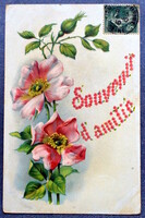 Antique embossed romantic greeting card wild rose