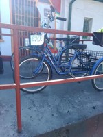 Adult tricycle for sale