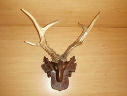 Old antler trophy wall decoration on wooden carved base