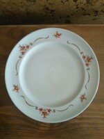 Lowland rosehip pattern cake plate