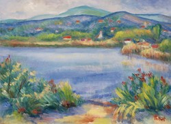 Halpert Mária: Velencei-tó, 2000 - olaj-vászon festmény, keretezve
