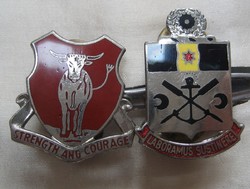 2 American military badges
