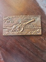 Antique military bronze plaque