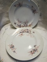 Porcelain flat plate