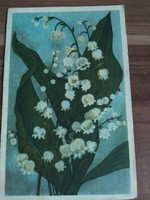 Régi virágos képeslap,gyöngyvirág, rajz: Domján Józsefné, 1957