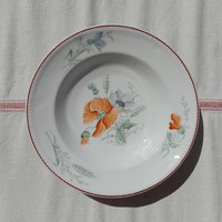 Antique porcelain wall plate