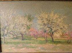 2. Nándor Sinda (1893- ;?) Spring
