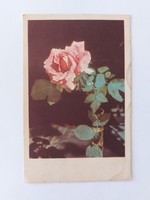 Old floral postcard