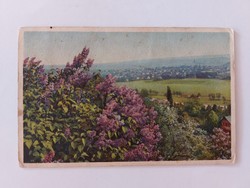 Old picture postcard