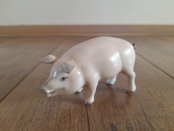 Herend jubilee pig