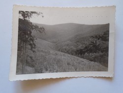 D197030  Old photo of Brennbergbánya area - Sopron 1944