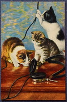 Old litho postcard cats with earphones