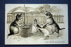 Antik grafikus litho nem képeslap / cicák vásárolnak - hátoldala Le Bon Marché áruház reklám