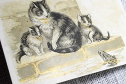 Antik grafikus litho nem képeslap / békakirály és a cicák - hátoldala Le Bon Marché áruház reklám