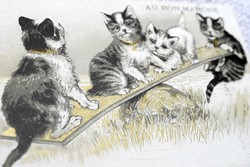 Antik grafikus litho nem képeslap / libikókázó cicák - hátoldala Le Bon Marché áruház reklám