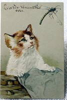 Régi dombornyomott litho képeslap cica és a szitakötő