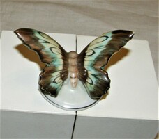 Pillangó - Drasche porcelán