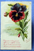 Antik dombornyomott szecessziós litho üdvözlő képeslap E Guillot  árvácska