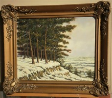 Alajos Bolvári (1905-1979): winter pine forest / Pécs / Mecsek