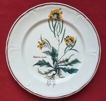 Botanikai virág mintás porcelán kerámia tányér Diplotaxis muralis fali kányazsázsa