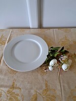 1 white porcelain flat plate for replacement, 47 replacements for collection4