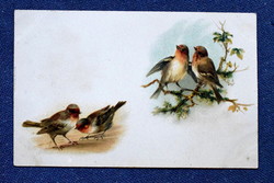 Antique greeting litho postcard robins bird