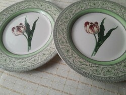 The royal tulip plate