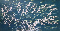 Seagulls - Scandinavian screen print