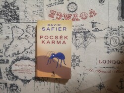 David Safier - Pocsék karma