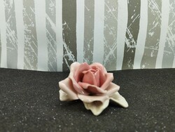 Ens 0489 porcelain rose