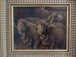 Harmann béla - sheep