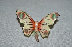Bodrogkeresztúri pillangó  02  ( DBZ 0086 )
