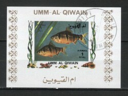 Halak, vízi élőlények 0015 (Umm-al Qiwain)