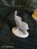Pici porcelán elefánt