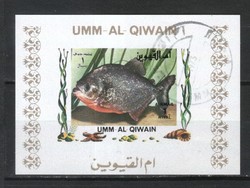 Halak, vízi élőlények 0014 (Umm-al Qiwain)