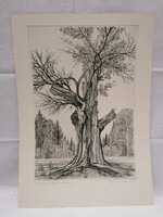 Iván Zsigovics, 1986, the flowers of the old tree, etching