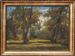 Gyula Metykó: Forest Path