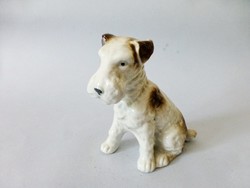 Ritka német porcelán fox terrier kutya