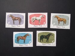 1985 200 years of horse breeding in Mezőhegyes ** g3