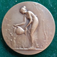 Delpech, jean mary: horticulture, French medal, Art Nouveau, Art Nouveau