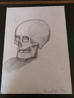 Skull pencil drawing graphics for sale