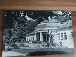 Old photo, botanical garden of the Hungarian Academy of Sciences, vácrátot