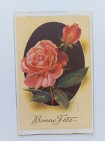 Old postcard from 1960 Vivey postcard rose