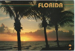 Képeslap 0066 (USA)  Florida