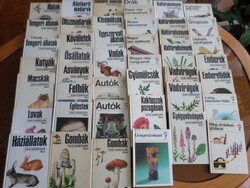 Búvár és Kolibri zsebkönyvek 44 db