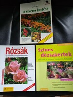 Roses - colorful flower beds - the successful gardener's plant care.