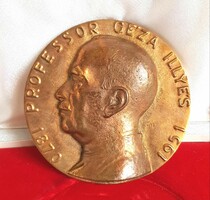 Professor Illyés gauze bronze plaque