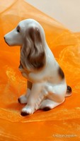 Hollóházi porcelán spániel kutya figura